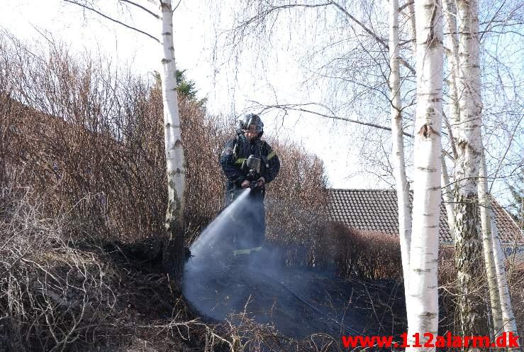 Mindre Naturbrand. Skibet Bakkevej i Skibet. 09/03-2013. Kl. 12:39.