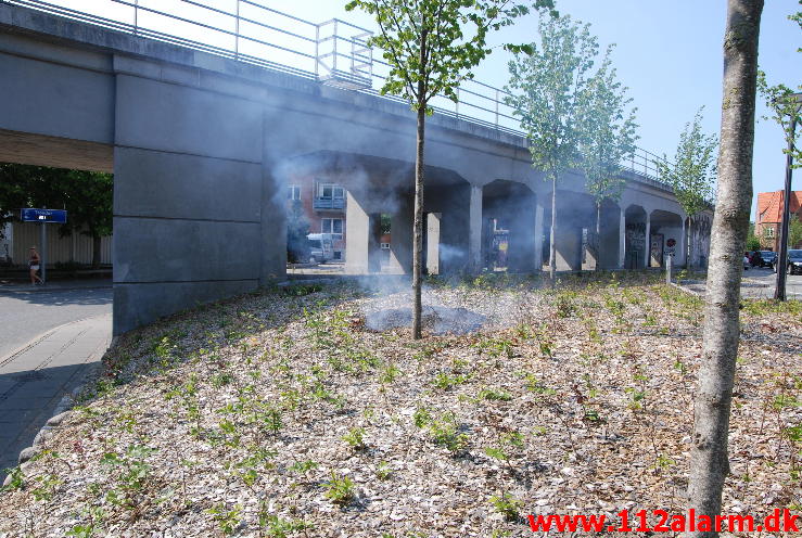 Mindre Brand i natur. Strandgade 3 i Vejle. 08/07-2013. Kl. 16:17.