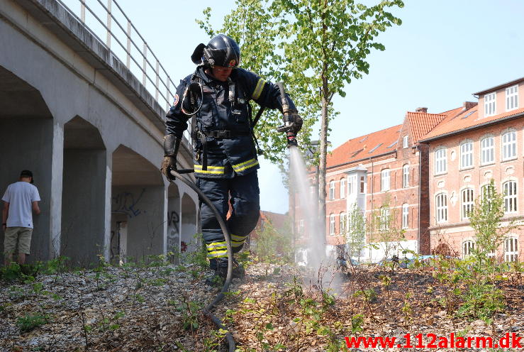 Mindre Brand i natur. Strandgade 3 i Vejle. 08/07-2013. Kl. 16:17.