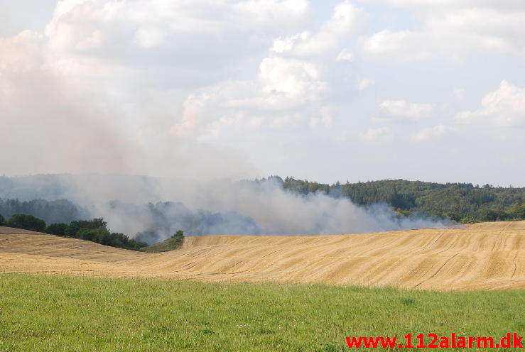 Markbrand som var på vej ind i skoven. Hover Kirkevej ved Vejle. 23/08-2013. Kl. 16:49.