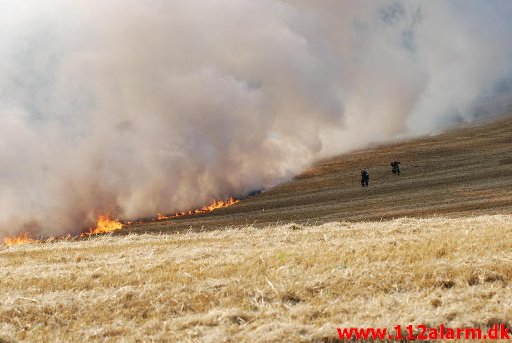 Markbrand som var på vej ind i skoven. Hover Kirkevej ved Vejle. 23/08-2013. Kl. 16:49.