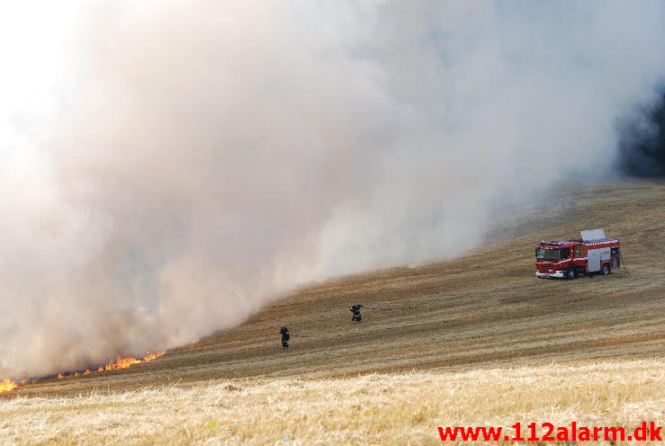 Markbrand som var på vej ind i skoven. Hover Kirkevej ved Vejle. 23/08-2013. Kl. 16:49.