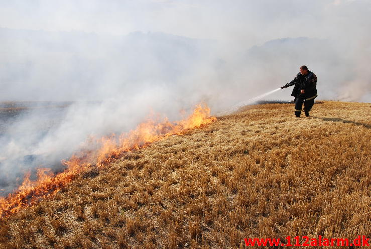 Markbrand som var på vej ind i skoven. Hover Kirkevej ved Vejle. 23/08-2013. Kl. 16:49.