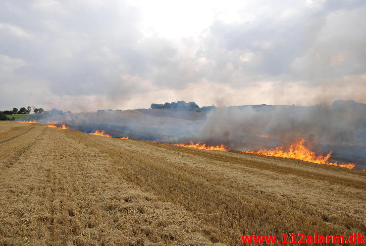 Markbrand som var på vej ind i skoven. Hover Kirkevej ved Vejle. 23/08-2013. Kl. 16:49.