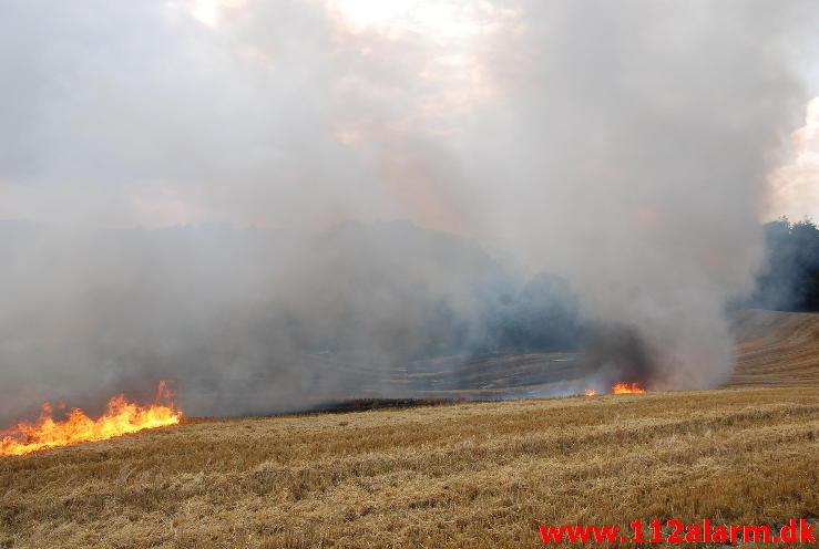 Markbrand som var på vej ind i skoven. Hover Kirkevej ved Vejle. 23/08-2013. Kl. 16:49.