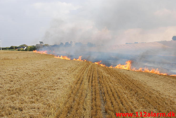 Markbrand som var på vej ind i skoven. Hover Kirkevej ved Vejle. 23/08-2013. Kl. 16:49.