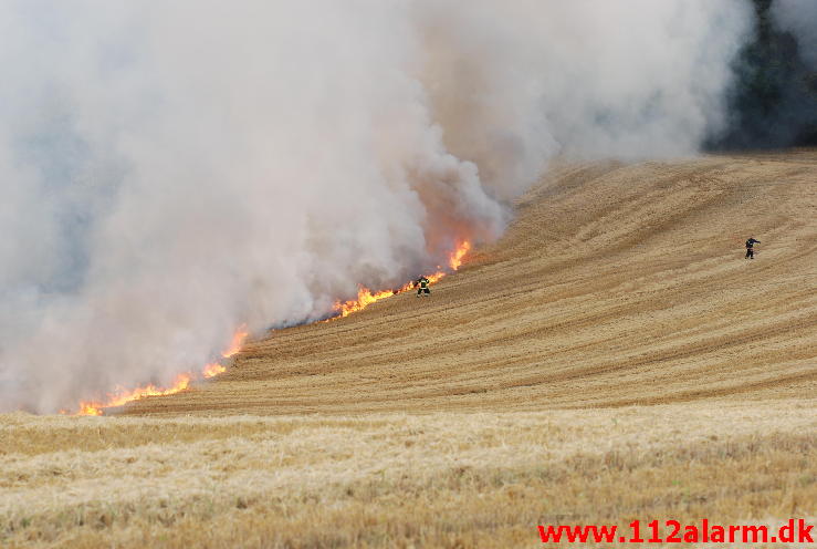 Markbrand som var på vej ind i skoven. Hover Kirkevej ved Vejle. 23/08-2013. Kl. 16:49.