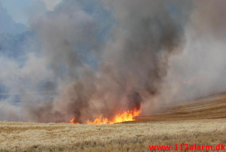 Markbrand som var på vej ind i skoven. Hover Kirkevej ved Vejle. 23/08-2013. Kl. 16:49.