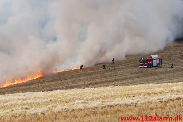 Markbrand som var på vej ind i skoven. Hover Kirkevej ved Vejle. 23/08-2013. Kl. 16:49.