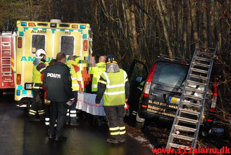 Undvige rådyr og gled i grøften.