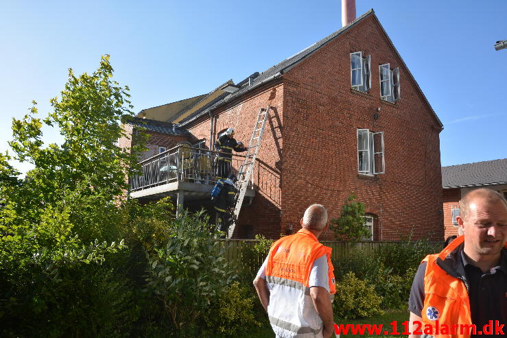 Tæt på at brande sit hus af i jagten på bier.