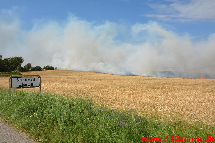 Markbrand høstet.