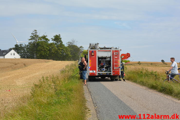 Markbrand høstet.