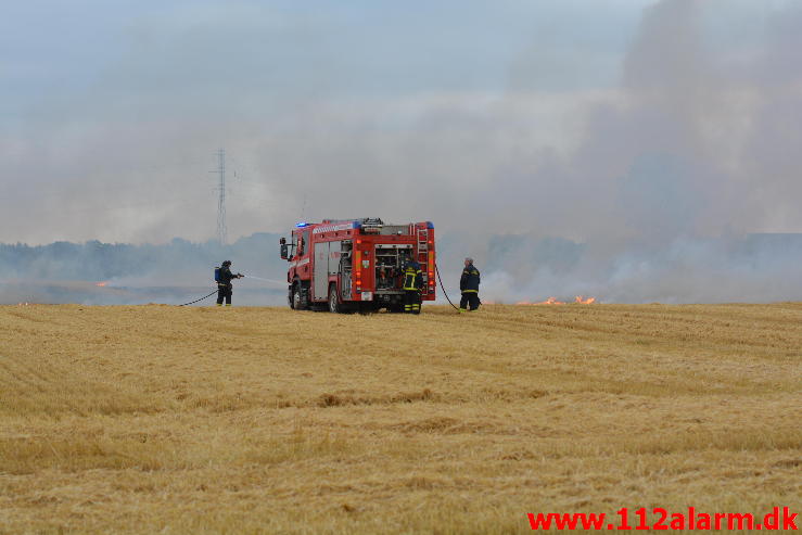 Endnu en Markbrand.