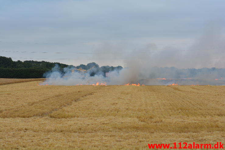 Endnu en Markbrand.