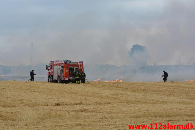 Endnu en Markbrand.