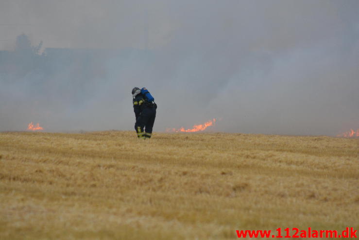 Endnu en Markbrand.