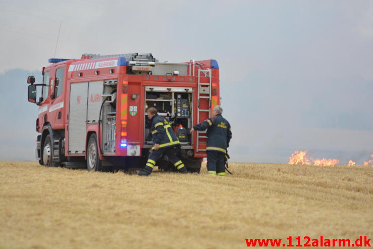 Endnu en Markbrand.