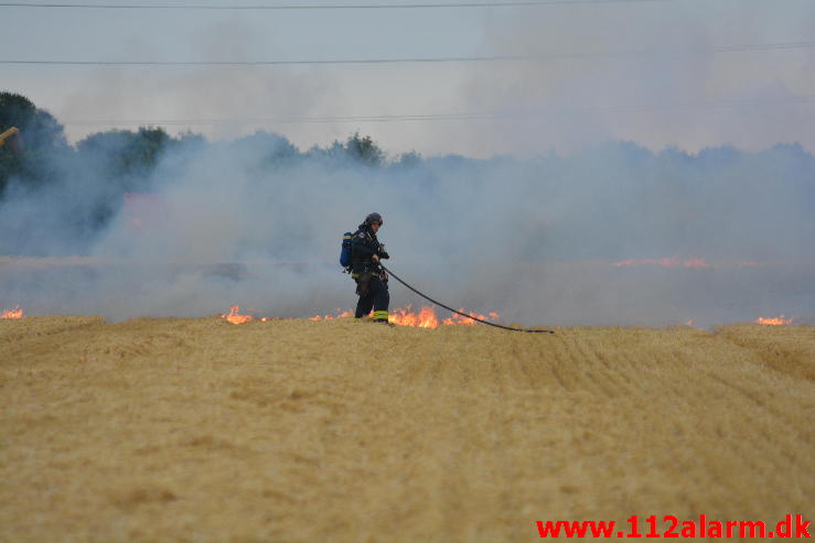 Endnu en Markbrand.