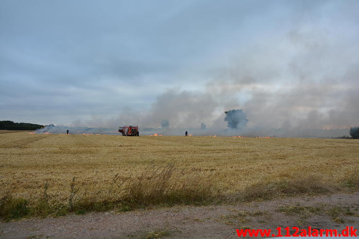 Endnu en Markbrand.