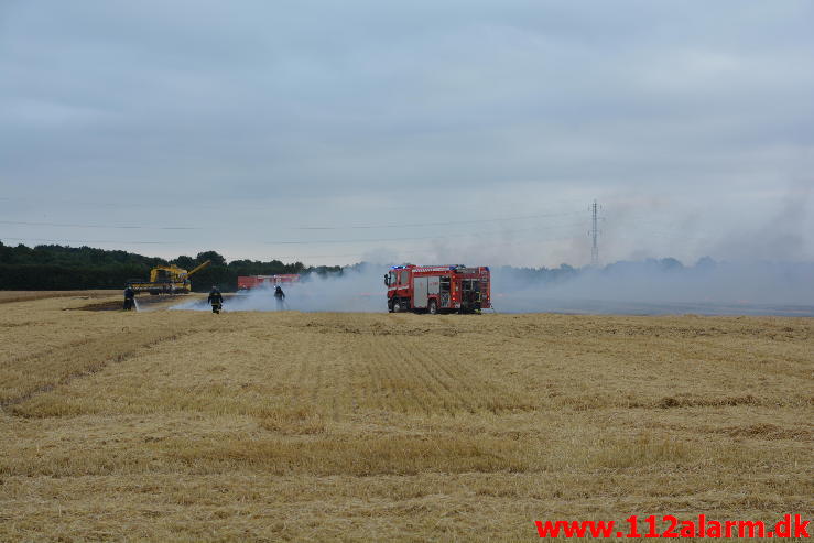 Endnu en Markbrand.