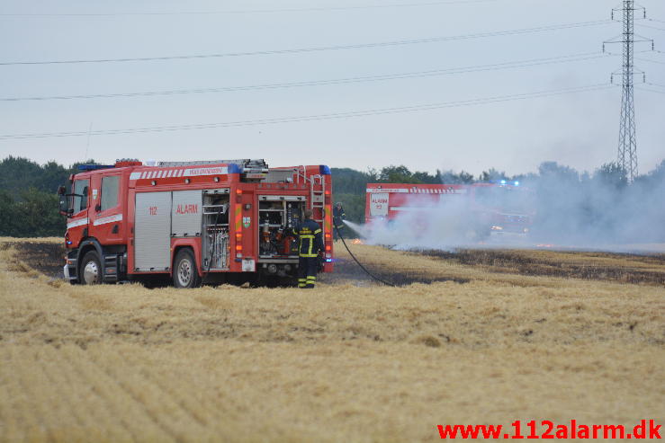 Endnu en Markbrand.