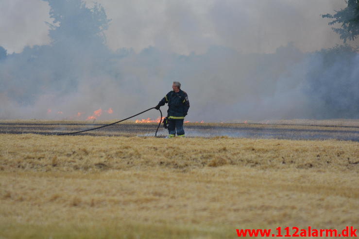 Endnu en Markbrand.