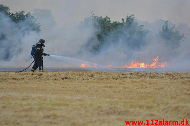 Endnu en Markbrand.