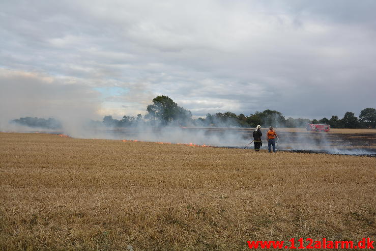 Brand i Villa.