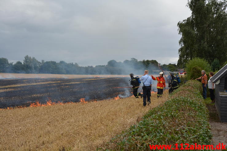 Brand i Villa.