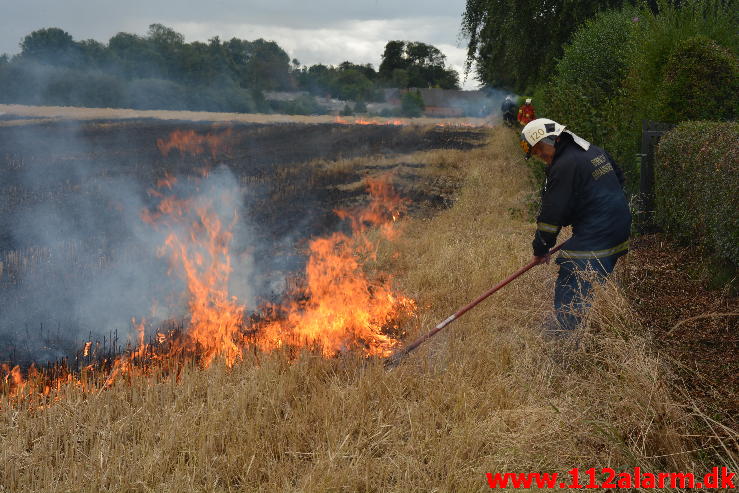 Brand i Villa.