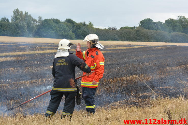 Brand i Villa.