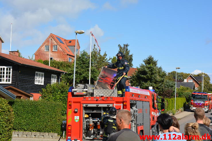 Brand i Vila.