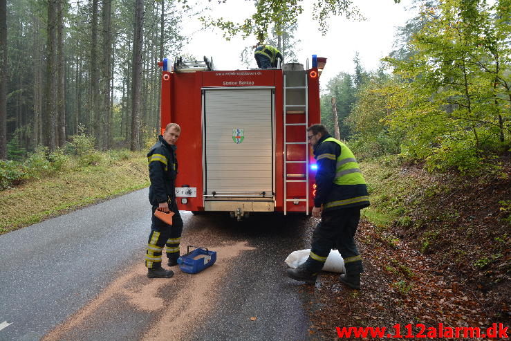 Mindre forurening. Munkebjergvej ved Hotel Munkebjerg. 15/10-2014. Kl. 15:13.