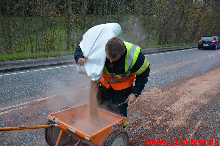 Fejemaskine smed olie Vardevej i Vejle 19/11-2014. Kl. 15:18.