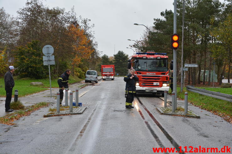 Pullert aflivet en Citroen Berlingo. Moldevej i Vejle. 05/11-2014. Kl. 13:01.