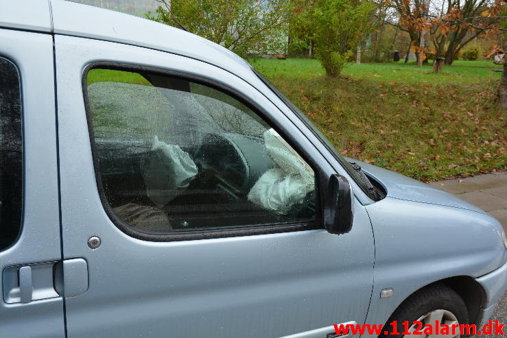 Pullert aflivet en Citroen Berlingo. Moldevej i Vejle. 05/11-2014. Kl. 13:01.