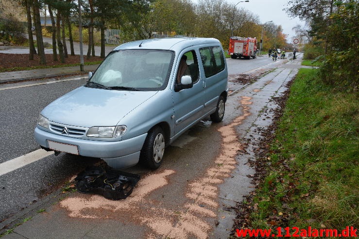 Pullert aflivet en Citroen Berlingo. Moldevej i Vejle. 05/11-2014. Kl. 13:01.