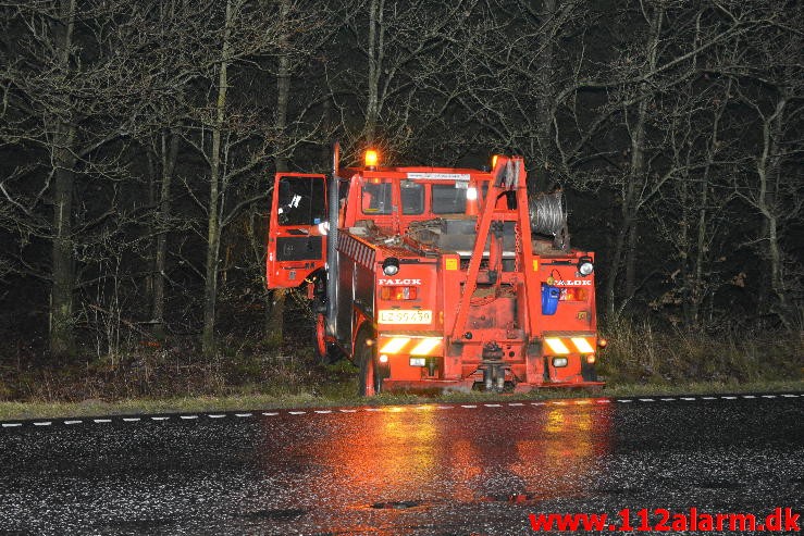 Chauffør ville undvige et rådyr. Hampen, Vejlevej A13. 19/12-2014.