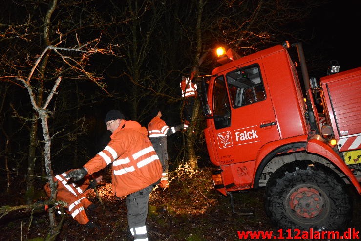 Chauffør ville undvige et rådyr. Hampen, Vejlevej A13. 19/12-2014.