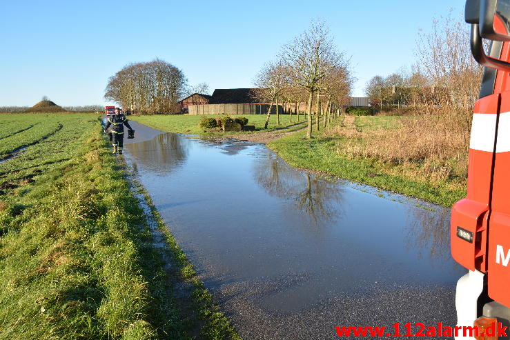 Større forurening Gylleudslip. Hammervej ved Tørring. 06/12-2014. Kl. 09:53.