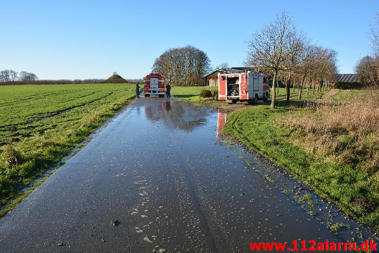 Større forurening Gylleudslip. Hammervej ved Tørring. 06/12-2014. Kl. 09:53.