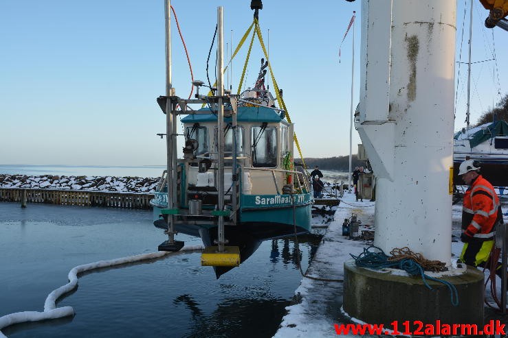 Sara Maatje XVI sank inde i Brejning Havn. 25/01-2015. 