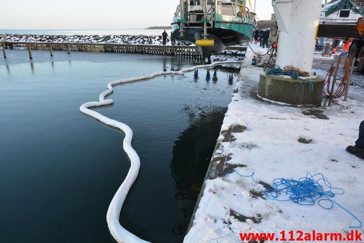 Sara Maatje XVI sank inde i Brejning Havn. 25/01-2015. 