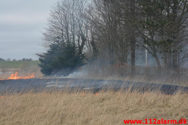 Ville brænde haveaffald af. Engmarksvej i Jerlev. 07/04-2015. Kl. 12:21.