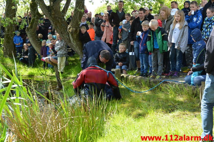 110 års jubilæum for Vejle Brandvæsen. 30/05-2015.