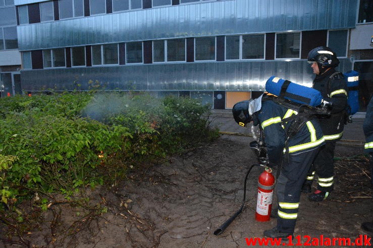 Ild i elskab. Løget Høj i Vejle. 28/06-2015. Kl. 21:43.