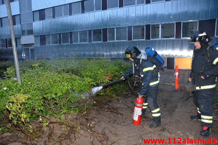 Ild i elskab. Løget Høj i Vejle. 28/06-2015. Kl. 21:43.