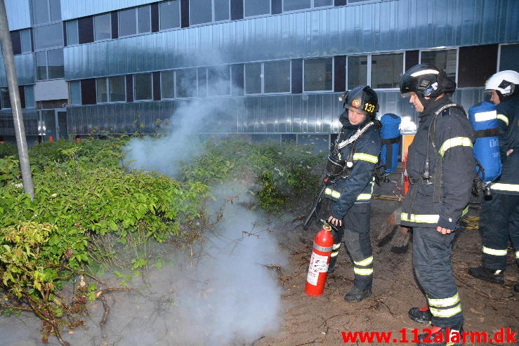 Ild i elskab. Løget Høj i Vejle. 28/06-2015. Kl. 21:43.