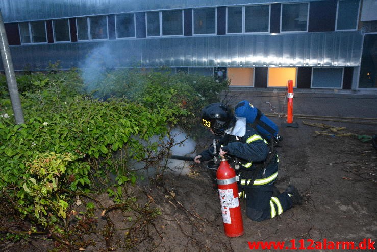 Ild i elskab. Løget Høj i Vejle. 28/06-2015. Kl. 21:43.